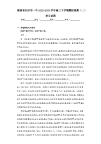 湖南省长沙市一中2022-2023学年高三下学期模拟检测（二）语文试题（含解析）