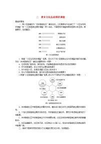 人教统编版必修 上册二 家乡文化生活现状调查课时练习