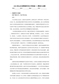 2023届山东省聊城市部分学校高三三模语文试题(含解析)