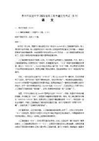 2023届广东省惠州市实验中学高三下学期适应性考试（5月）语文试题含答案