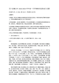 四川省雅安市2022-2023学年高一下学期期末检测语文试题(含答案)