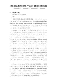 湖北省武汉市2022-2023学年高三5月模拟训练语文试题（含答案解析）