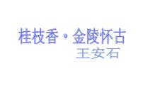 语文必修 下册桂枝香·金陵怀古课文内容ppt课件