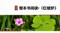 高考语文一轮复习--《红楼梦》 课时83　环境赏析——荣宁二府，浊中有净（精品课件）