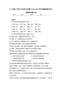 高中人教统编版5.2 *边城（节选）同步训练题