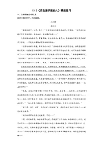 高中语文人教统编版必修 下册13.2* 装在套子里的人精品课时练习