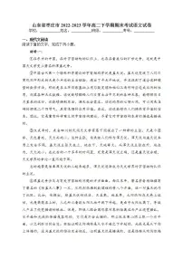 山东省枣庄市2022-2023学年高二下学期期末考试语文试卷（含解析）