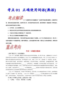 考点01正确使用词语(熟语)-备战2023年高考语文一轮复习考点帮（新高考专用）