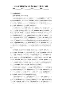 2023届新疆维吾尔自治区多地高三三模语文试题（含解析）