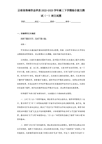 2022-2023学年云南省曲靖市会泽县高三下学期综合能力测试（一）语文试题含答案