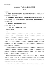 山东省聊城市齐鲁名校大联盟2023届高三语文三模试题（Word版附解析）