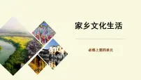 高中语文人教统编版必修 上册二 家乡文化生活现状调查多媒体教学ppt课件