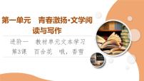 高中语文人教统编版必修 上册第一单元3 （百合花 *哦，香雪）3.1 百合花一等奖ppt课件