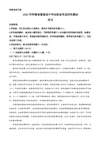 河南省普通高中毕业班2023届高考语文适应性检测试题（Word版附解析）