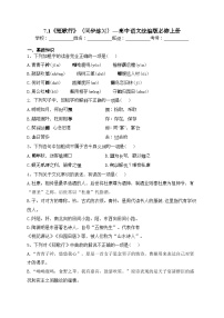 高中语文人教统编版必修 上册7.1 短歌行达标测试