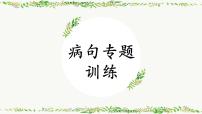2024届高考语文复习：辨析并修改病句 课件