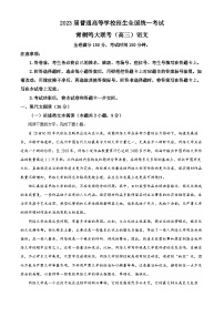 河南省青桐鸣大联考2022-2023学年高三下学期5月联考语文试题（Word版附解析）