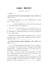 训练任务群六 语言文字运用 对点练案3 精准补写句子（含解析）—2024年高考语文大二轮复习