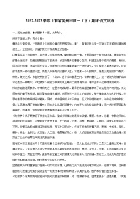 2022-2023学年山东省滨州市高一（下）期末语文试卷（含详细答案解析）