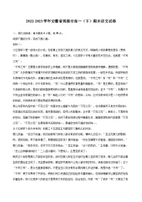 2022-2023学年安徽省芜湖市高一（下）期末语文试卷（含详细答案解析）