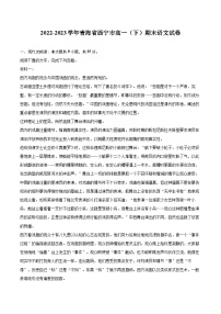 2022-2023学年青海省西宁市高一（下）期末语文试卷（含详细答案解析）