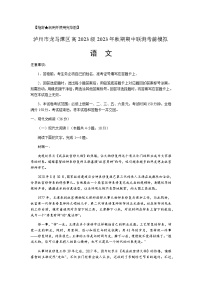 2023-2024学年四川省泸州市龙马潭区高一上学期期中联测考前模拟语文试卷含答案