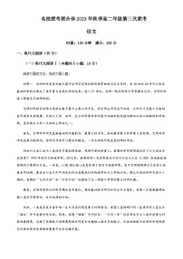 2023-2024学年湖南省名校联考联合体高二上学期第三次联考语文试题含解析