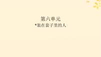 人教统编版必修 下册13.2* 装在套子里的人集体备课ppt课件