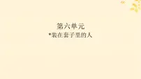人教统编版必修 下册13.2* 装在套子里的人集体备课ppt课件
