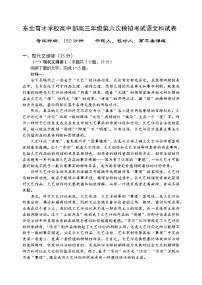 2024沈阳东北育才学校高中部高三下学期第六次模拟考试语文含答案