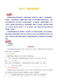 考点02 语用必考：辨析修改病句-备战高考语文一轮复习（新高考专用）专项讲解练习