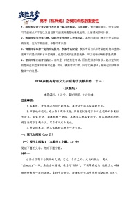 2024届新高考语文九省联考仿真模拟卷13（原卷版+解析版）