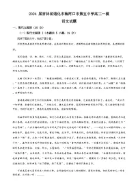 吉林省通化市梅河口市第五中学2024届高三下学期一模试题语文