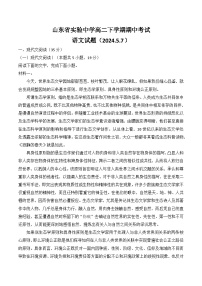 山东省实验中学2023-2024学年高二下学期5月期中考试语文试题（Word版附解析）