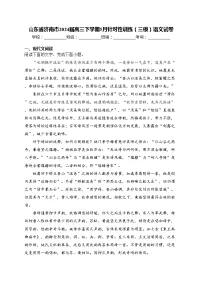 山东省济南市2024届高三下学期5月针对性训练（三模）语文试卷(含答案)