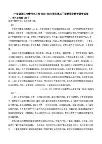 广东省湛江市雷州市三校2023-2024学年高二下学期语文期中联考试卷（含答案）