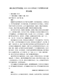 语文：湖北省武汉市武昌区2022-2023学年高二下学期期末考试试题（解析版）
