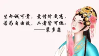 人教统编版必修 下册游园([皂罗袍])背景图课件ppt