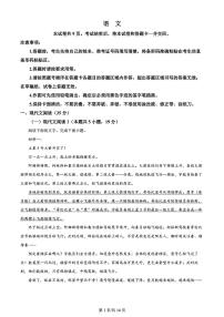 2024高考真题（新高考2卷）语文