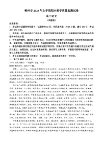 湖南省郴州市2023-2024学年高二下学期期末考试语文试题 Word版含解析