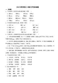 2025届高考语文一轮复习：字音训练题（含答案）
