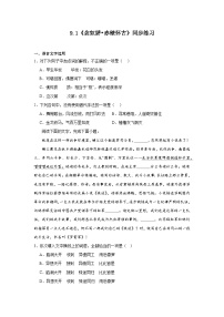高中语文人教统编版必修 上册9.1 念奴娇·赤壁怀古课时作业