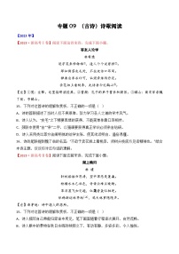 专题09 诗歌阅读（古诗）- 十年（2014-2023）高考语文真题分项汇编 （全国通用）（学生卷）
