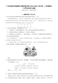 [语文]广东省深圳市桃源居中澳实验学校2024～2025学年高一上学期新生入学考试语文试题(有答案)