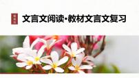 新高考语文一轮复习课件板块5 第1部分 教材内文言文复习 课时36　《种树郭橐驼传》《石钟山记》