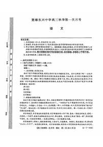 云南省楚雄东兴中学2024-2025学年高三上学期9月月考语文试题