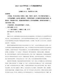 2025届河南省濮阳市高三模拟预测语文试题（解析版）