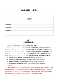 整本书阅读《乡土中国》（练习）（含答案） 2025年高考语文一轮复习讲练测（新教材新高考）