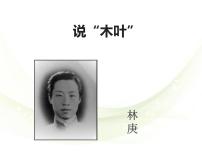 高中语文人教统编版必修 下册9 说“木叶”集体备课课件ppt