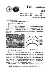 2025届安徽A10联盟高三上学期11月份联考语文试题及答案